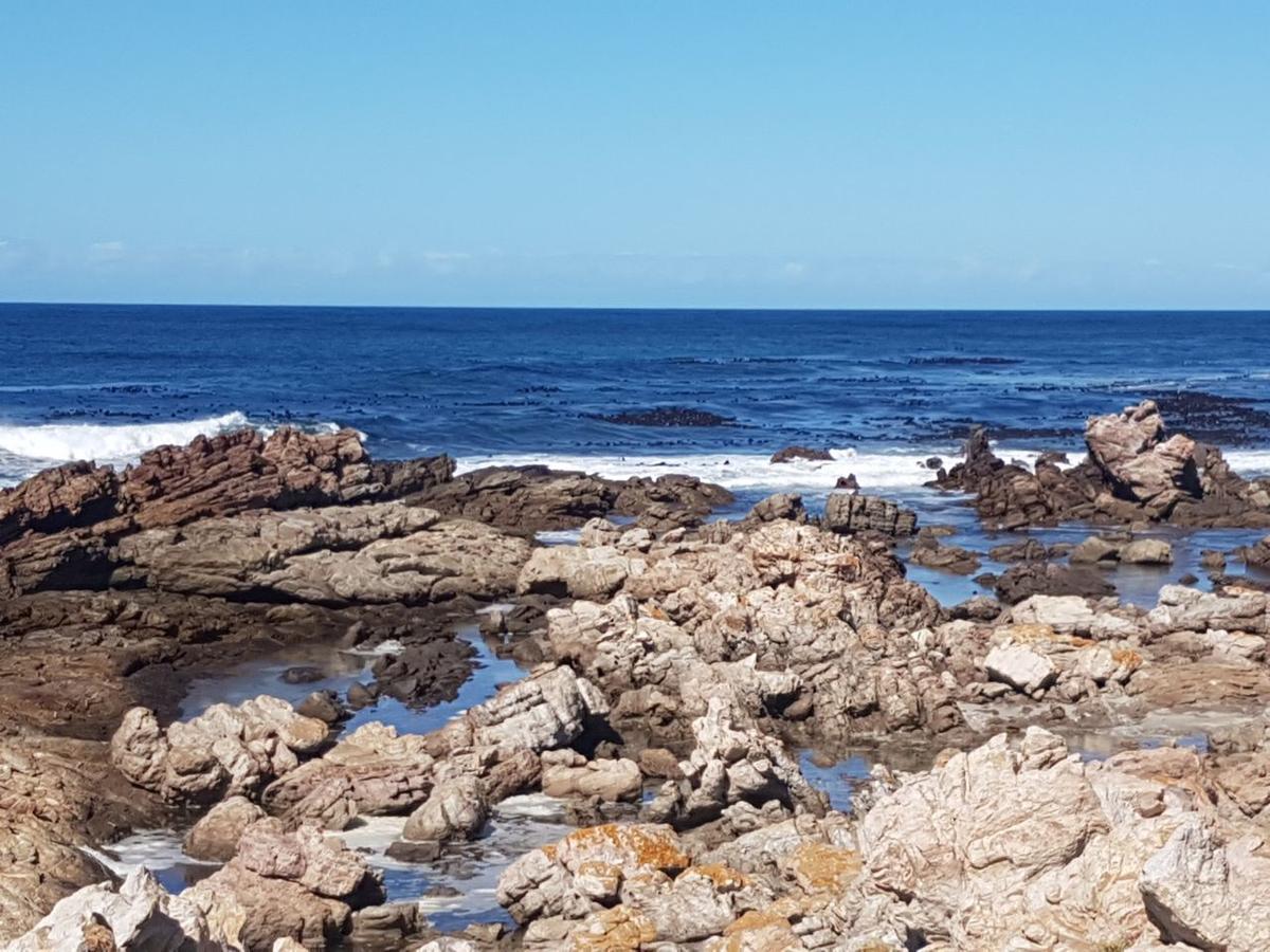 Corban Cottage Hermanus Kültér fotó